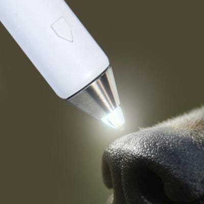 Animal cryosurgery targeting hard to reach lesions, skin tags, warts, cysts and tumors